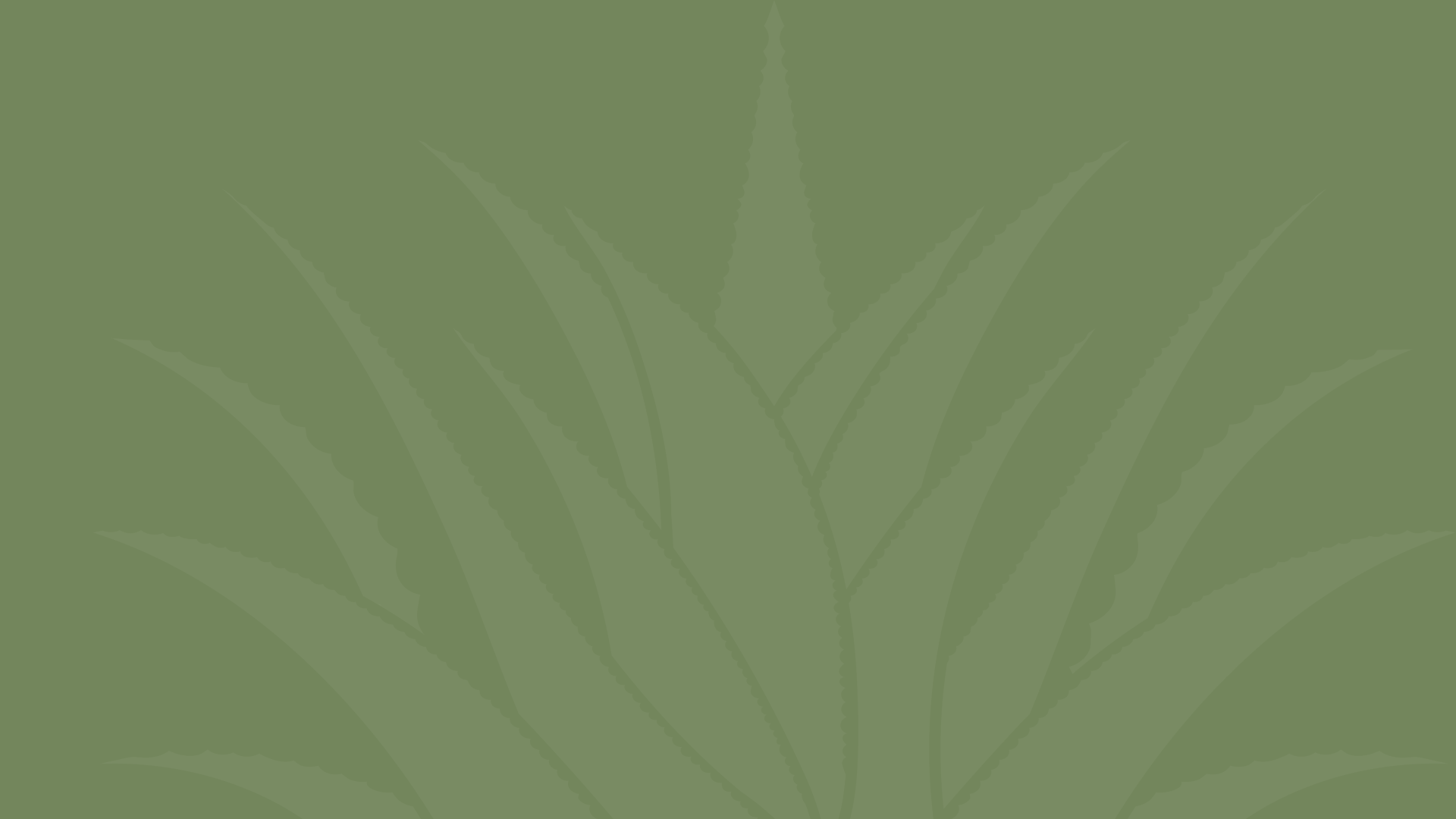 main banner